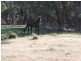 Jerrong Views Lot 171 Jerrong Road, Taralga NSW 2580
