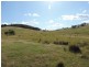 Jerrong Views Lot 171 Jerrong Road, Taralga NSW 2580
