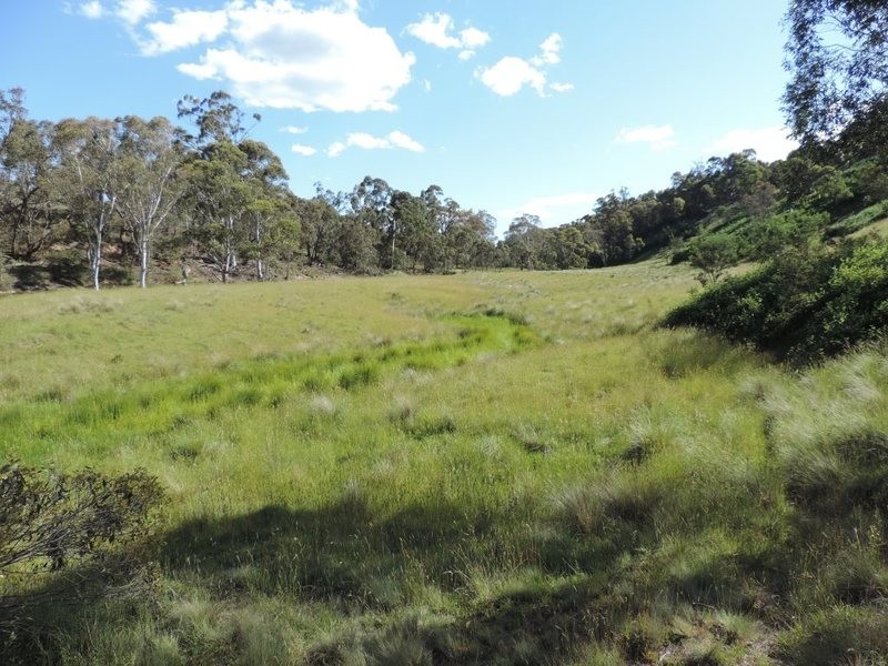 Jerrong Views Lot 171 Jerrong Road, Taralga NSW 2580