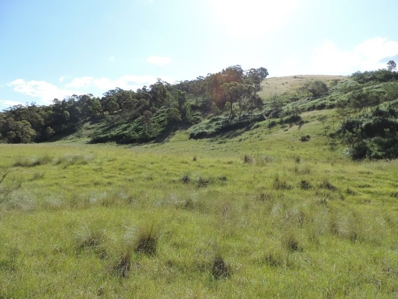 Jerrong Views Lot 171 Jerrong Road, Taralga NSW 2580