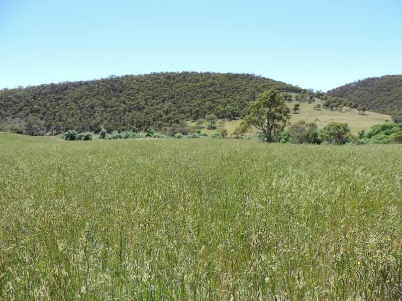 1794 Middle Arm Road, Goulburn NSW 2580