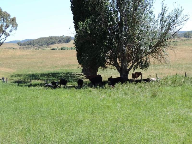 1794 Middle Arm Road, Goulburn NSW 2580