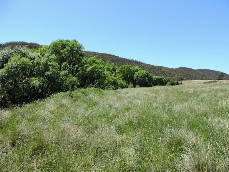1794 Middle Arm Road, Goulburn NSW 2580