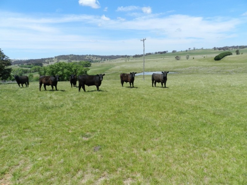 5973 Boorowa Road, Crookwell NSW 2583