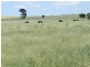 5973 Boorowa Road, Crookwell NSW 2583