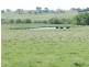 5973 Boorowa Road, Crookwell NSW 2583