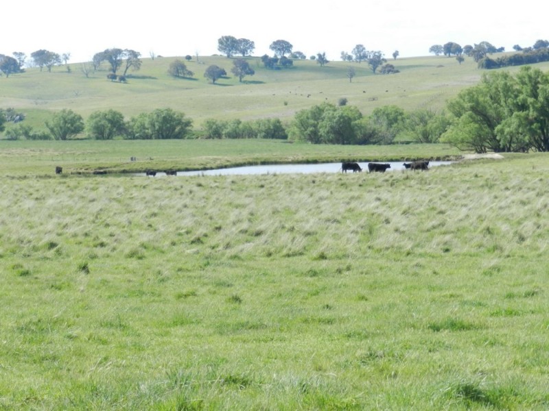 5973 Boorowa Road, Crookwell NSW 2583