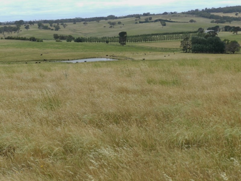 5973 Boorowa Road, Crookwell NSW 2583