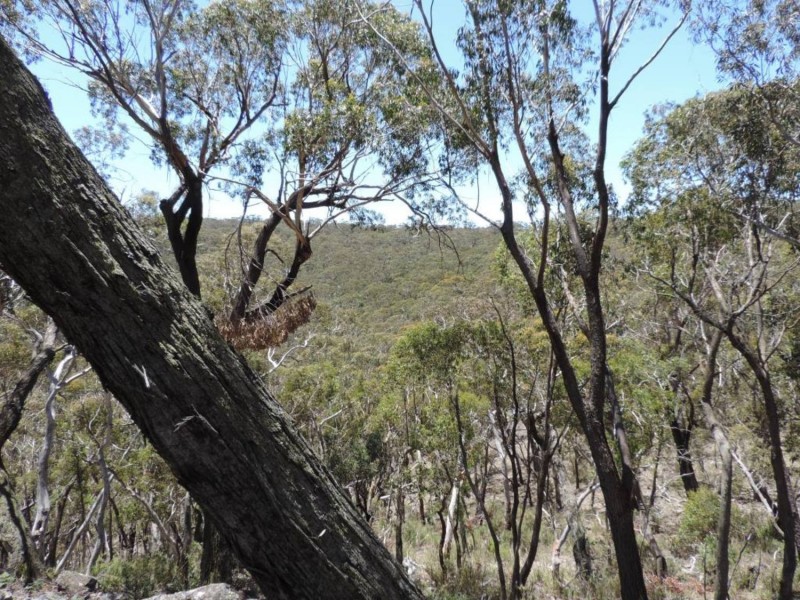 442 Mares Forest Road, Taralga NSW 2580