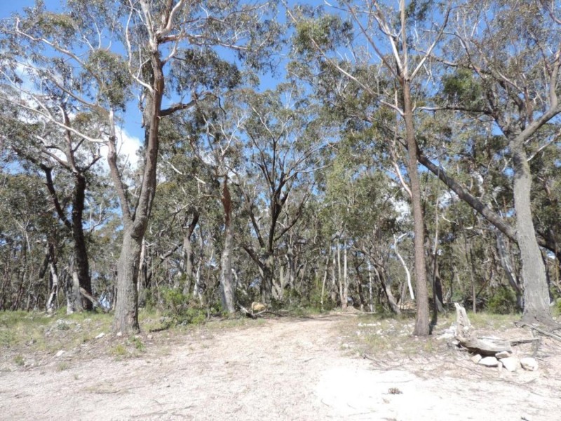 442 Mares Forest Road, Taralga NSW 2580