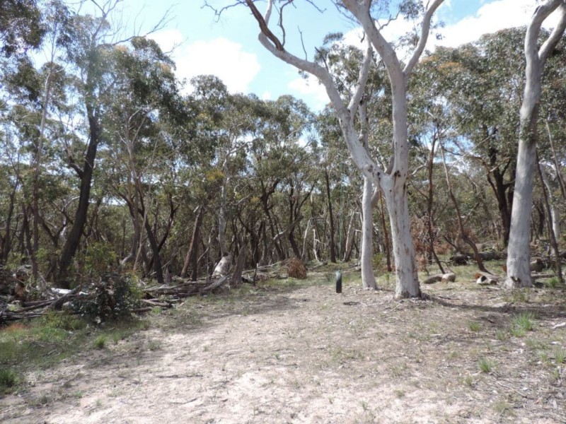 442 Mares Forest Road, Taralga NSW 2580