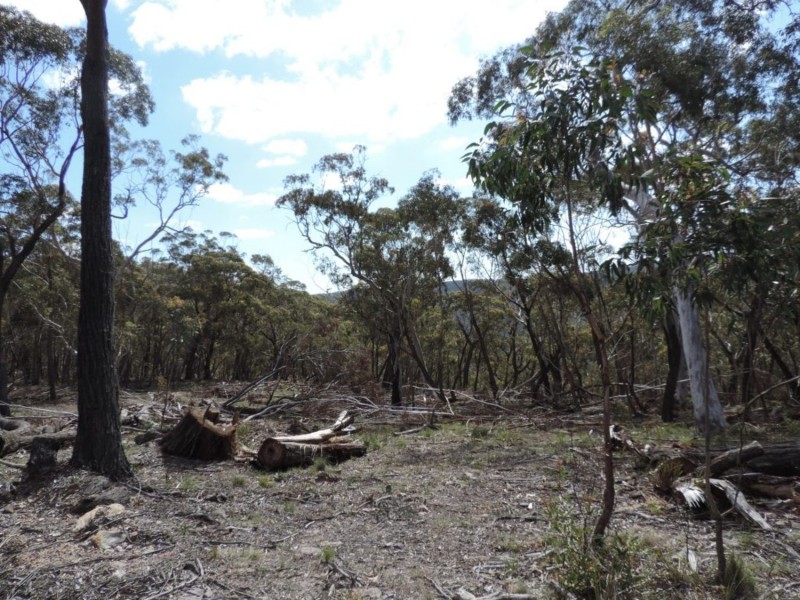 442 Mares Forest Road, Taralga NSW 2580