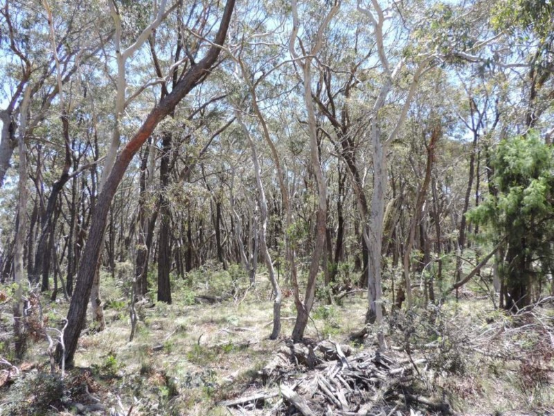 442 Mares Forest Road, Taralga NSW 2580