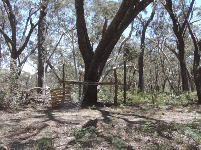 442 Mares Forest Road, Taralga NSW 2580