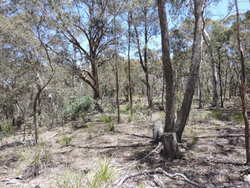 442 Mares Forest Road, Taralga NSW 2580