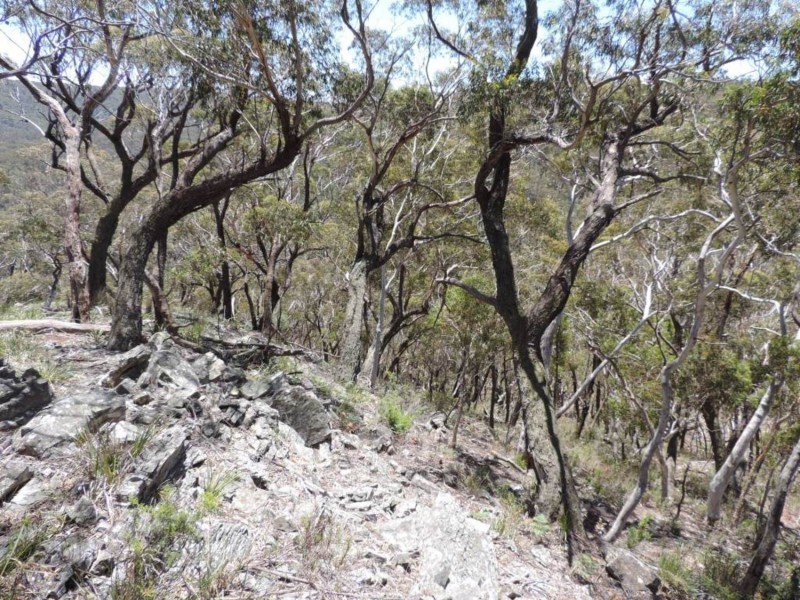 442 Mares Forest Road, Taralga NSW 2580