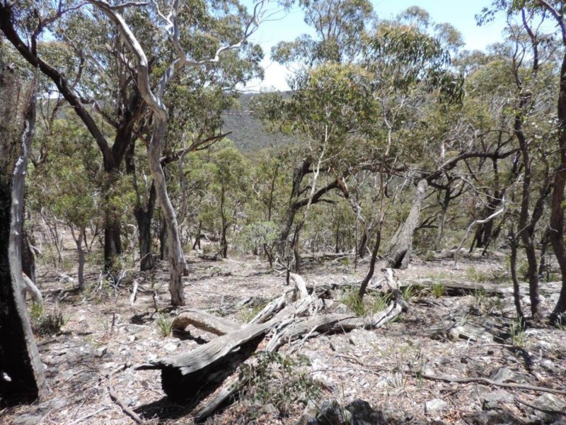 442 Mares Forest Road, Taralga NSW 2580