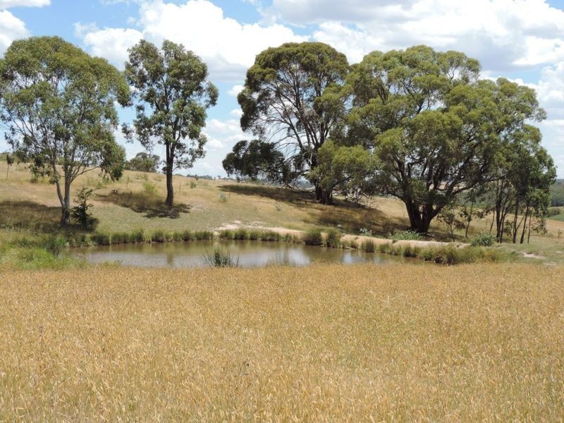 Mountain Views 191 Chalkers Lane, Taralga NSW 2580