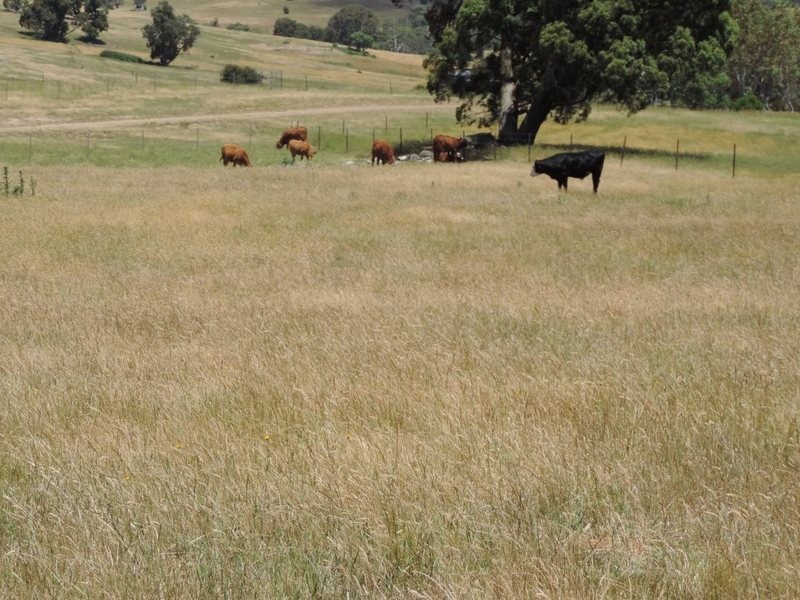 Mountain Views 191 Chalkers Lane, Taralga NSW 2580