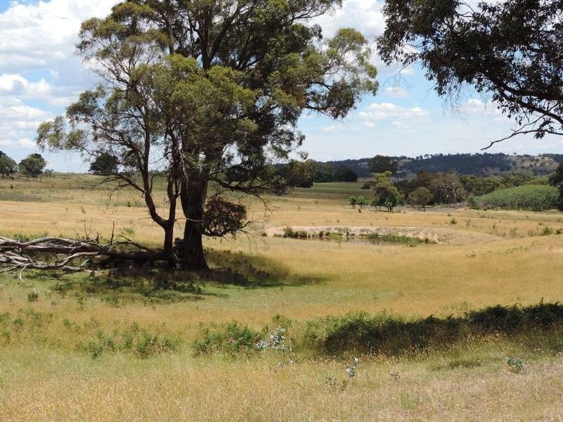 Mountain Views 191 Chalkers Lane, Taralga NSW 2580