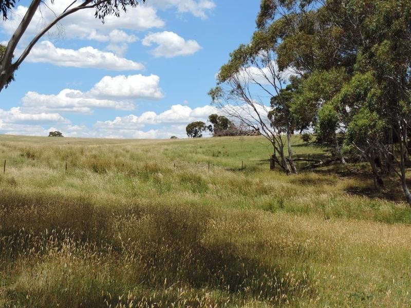Mountain Views 191 Chalkers Lane, Taralga NSW 2580