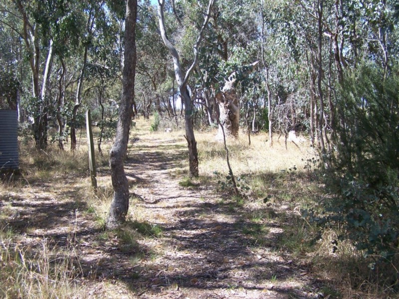 427 Bigga Road, Binda NSW 2583