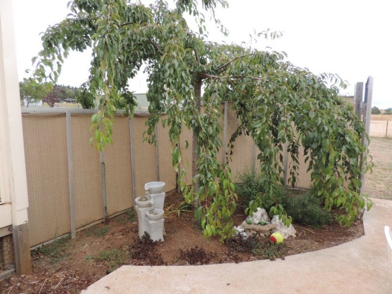 54  Woodward Lane, Crookwell NSW 2583