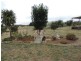 54  Woodward Lane, Crookwell NSW 2583