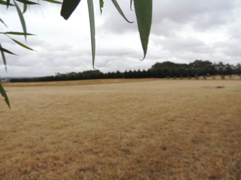 54  Woodward Lane, Crookwell NSW 2583