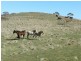 211 Pomaroy Mill Ford Road, Goulburn NSW 2580