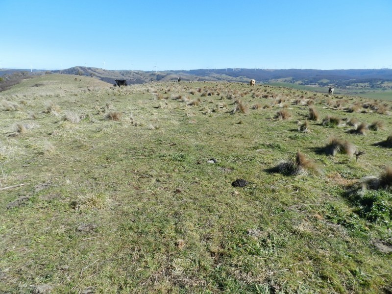 211 Pomaroy Mill Ford Road, Goulburn NSW 2580
