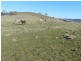 211 Pomaroy Mill Ford Road, Goulburn NSW 2580