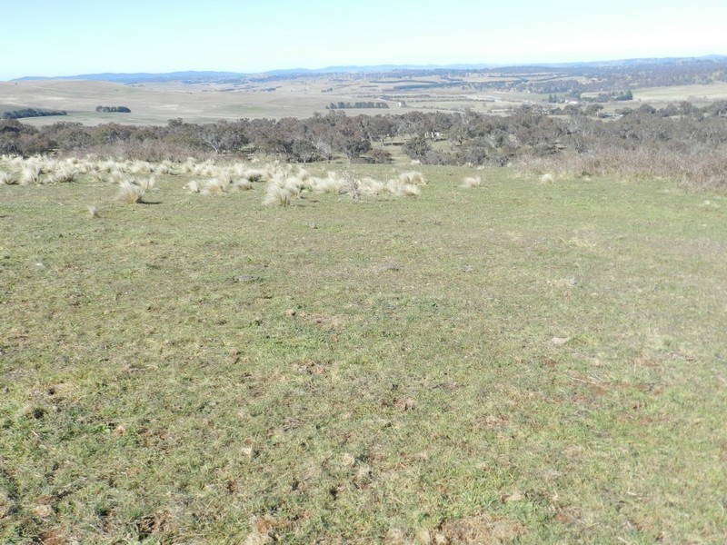 211 Pomaroy Mill Ford Road, Goulburn NSW 2580