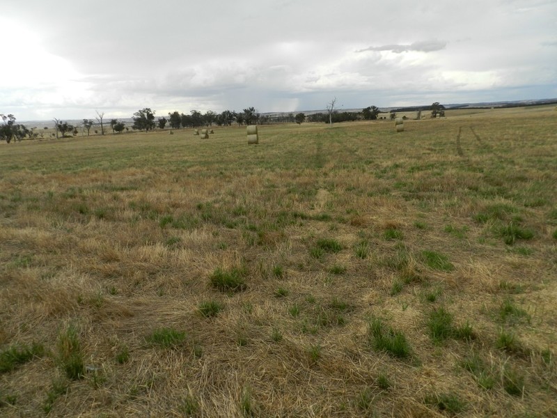 Curraweela Golspie Road, Laggan NSW 2583
