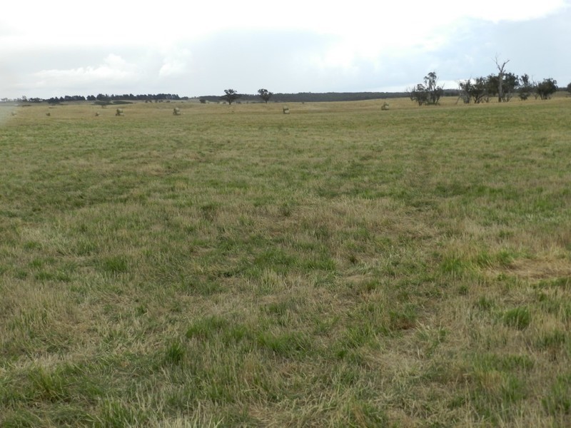 Curraweela Golspie Road, Laggan NSW 2583