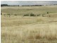 Curraweela Golspie Road, Laggan NSW 2583