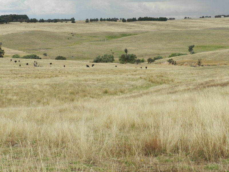 Curraweela Golspie Road, Laggan NSW 2583
