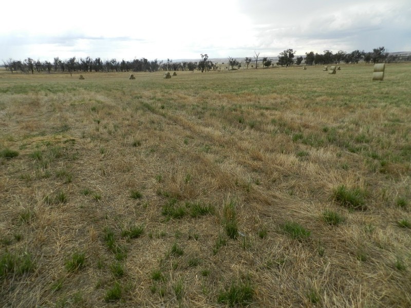 Curraweela Golspie Road, Laggan NSW 2583