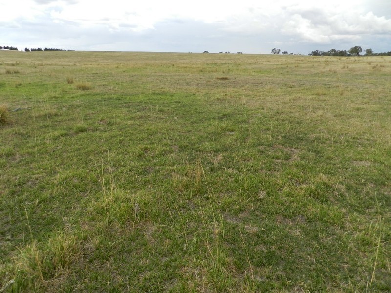 Curraweela Golspie Road, Laggan NSW 2583