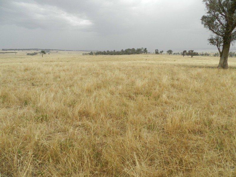Curraweela Golspie Road, Laggan NSW 2583