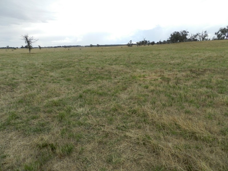Curraweela Golspie Road, Laggan NSW 2583