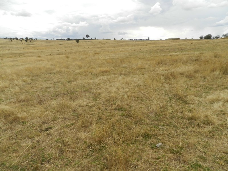 Curraweela Golspie Road, Laggan NSW 2583