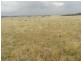 Curraweela Golspie Road, Laggan NSW 2583