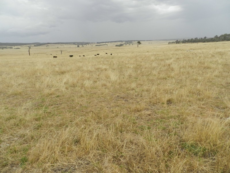 Curraweela Golspie Road, Laggan NSW 2583