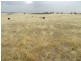 Curraweela Golspie Road, Laggan NSW 2583