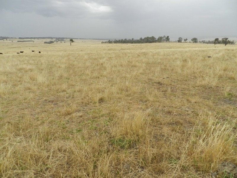 Curraweela Golspie Road, Laggan NSW 2583