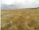Curraweela Golspie Road, Laggan NSW 2583