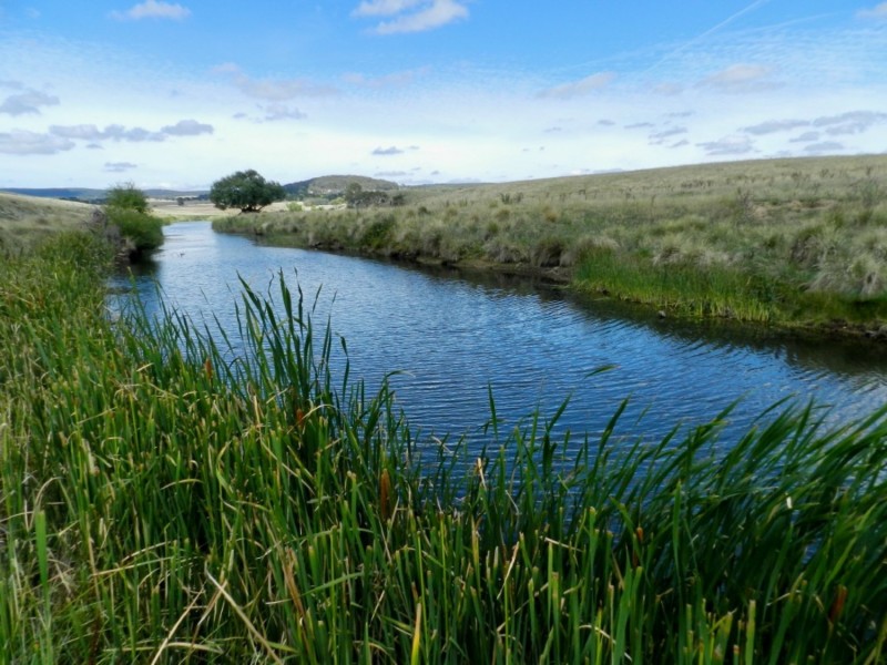 1694 Taralga Road, Goulburn NSW 2580