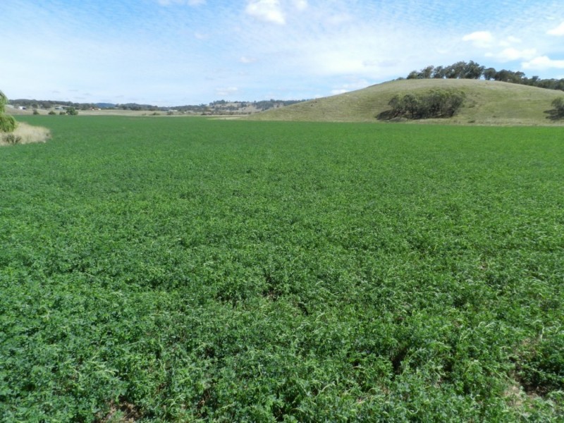 1694 Taralga Road, Goulburn NSW 2580