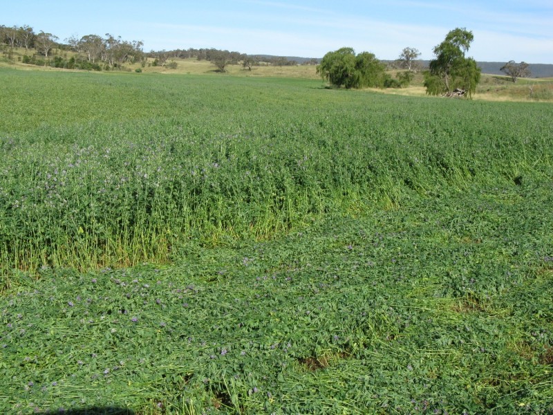 1694 Taralga Road, Goulburn NSW 2580